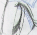 SPCpolly_THM.gif (6215 bytes)
